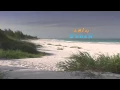 Domi Fenetruma - Bulan Terang Di Pantai Base-G
