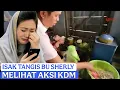Download Lagu DEDI MULYADI DAGANG PECEL DI GERUDUK NENEK - NENEK