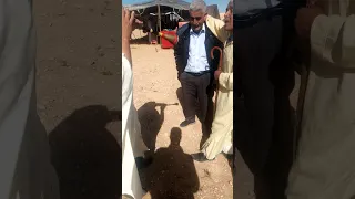 جرة قايطة روعة جديد 2024 ترند مشهدات متابعه 