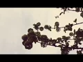 22cats - Blue Pill Story
