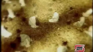 tere ishq nachaya baba bulleh shah singers raza ali qadri u0026 others