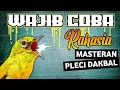 Download Lagu MASTERAN PLECI DAKBAL / PLECI DAKUN BALI MATERI TEMBAKAN MEWAH #masteranpleci #plecidakbal