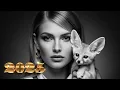 Download Lagu [2025] 20 Deep House \u0026 Nu Disco Hits – Chill \u0026 Feel the Beat [Vol.38]