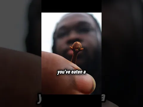 The Spice That Numbs Your Mouth
