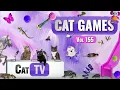 Download Lagu CAT Games | Ultieme Cat TV-compilatie Vol 155 | 8 UUR 🐝🐞🦋🦎🦜🐜🐭🧵