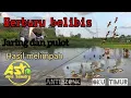 Download Lagu BERBURU BELIBIS🔥SPOT BARU HASILNYA❗DUCK TRAPPING