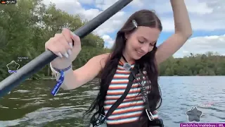 Forsen Rescues Another Stray Cat Best Twitch YT and Kick Clips
