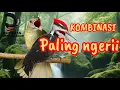 Lagu SUARA KAPAS TEMBAK vs PELATUK 🔥 Masteran Ampuh Bikin Burung Cepat Emosi, Isian Rapat \u0026 Power Tajam