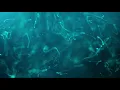 Floating abstract particles in a line pattern background