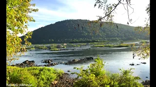 تلاوة خاشعة من سورة المائدة محمد الغزالي واذ قال الله ياعيسى ابن مريم أأنت قلت للناس 