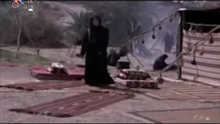 صواديف الأيام الشاعر الحميدي محسن المحمدي 
