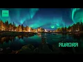 Aurora 2-Step Instrumental Royalty Free Music