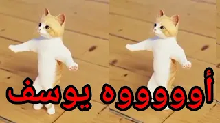 سيتم حذف الفيديو والجديده بالتعليق المثبت اغنية  يوسف  الزين يوسف دندنها