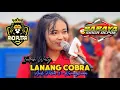 Download Lagu Lanang Cobra Voc. Indah Waty | Singa Depok ANDI PUTRA 3 di CV. Almatiin Karangsinom Indramayu