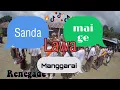 Download Lagu Ronda is a traditional welcoming dance in Manggarai-Indonesia culture (Rofinus Jas)