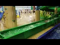 Izzy green slide