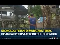Kronologi Petani di Muratara Tewas Disambar Petir saat Berteduh di Pondok Kecil, Temannya Muntah