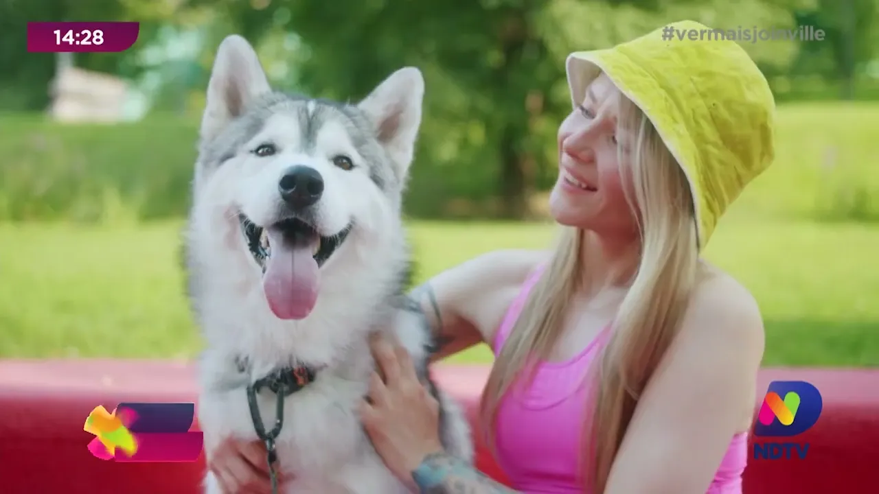 Pet News: empresa cria pílula para aumentar vida de cães