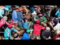 Beluga In The Seine - Thomas Azier (film by Jesper Boot)
