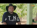 Mentira estampada - DE BAR EM BAR 5 - Natanzinho Lima