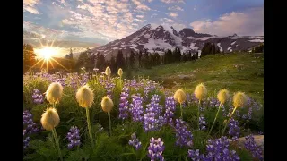 4k سورة البقرة كاملة للقارئ اسلام صبحى مع مناظر طبيعية رائعة Full HD Islam Sobhi Albaqara 