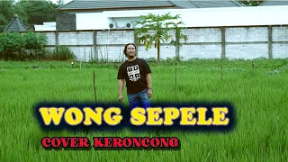 Download WONG SEPELE  | NDARBOY GENK | Versi Keroncong MP3