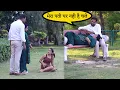 Download Lagu चावल