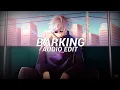 barking (instrumental) - ramz {edit audio}