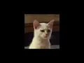 Download Lagu maroon 5 - one more night (sped up)