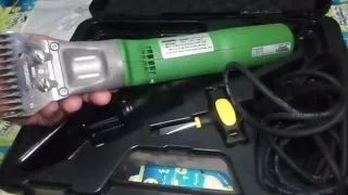                                                                             دندنها