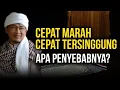 Lagu CEPAT MARAH CEPAT TERSINGGUNG, INI DIA PENYEBABNYA