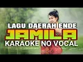 Download Lagu Karaoke No Vocal •||• Jamila_Tiger_lagu daerah Ende Flores