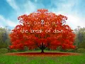 Erykah Badu  -  AppleTree