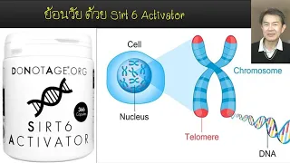 ทำไมการนอนหลับนานขึ้นถึงเป็นสัญญาณของวัยเยาว์?