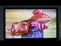 Download Lagu Start and End of Bob The Builder Scoop Saves The Day 1999 VHS UK