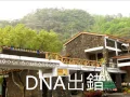 DNA出錯  黎明
