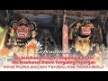 Sesuhunan Dalem Tengaling Bunutin \u0026 Payangan Gianyar rauh ring Pura Dalem Tengaling Tamanbali