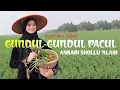 Download Lagu ANNABI SHOLLU ALAIH - GUNDUL GUNDUL PACUL || Kuntriksi Ellail