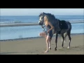 Sexy Brunette Riding Horse Contest