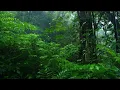 Fall Asleep Instantly in 3 Minutes with Best Rain Sounds - Rainforest Ambience for Insomnia Relief