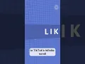 how social media algorithm works