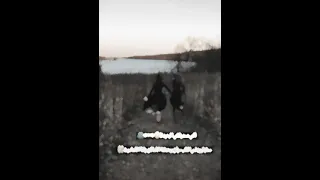 الى صديقتي البعيدة 