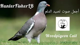 صوت الدلم للصيد أفضل دمج  ٣ أصوات                                                                    دندنها