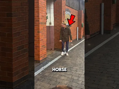 She Claimed She Had the Tiniest Horse… Nobody Believed Her 👀