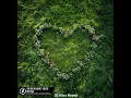 Download Lagu Kolya Funk,PHURS,Catching Sunrises - You're my heart, You're my soul (Dj Bliss Remix) #remix #music