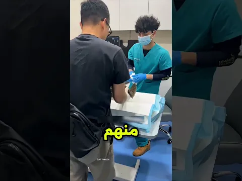 ازاي بيعالجو الحيوانات بطرق بسيطة #shortvideo