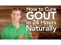 Download Lagu How to Overcome Gout Naturally | Dr. Josh Axe