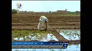 حنان النيل لو أعيش زول ليهو قيمة عود  حنان النيل لو أعيش زول ليهو قيمة عود