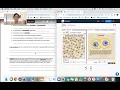 Cell Division Gizmo Lab Instructions