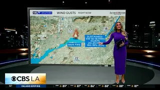 Dani Ruberti - Weather Babe